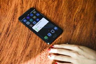 手机看片国产片